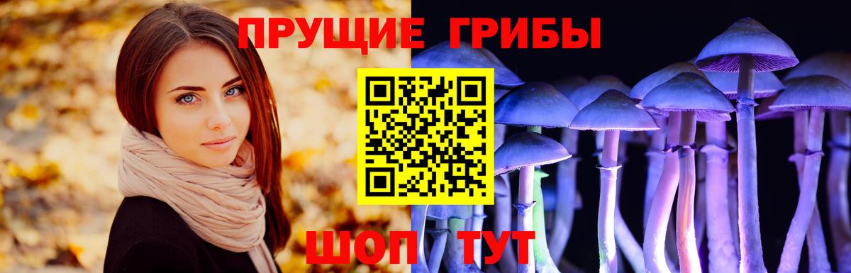 Гурьевск  Галлюциногенные грибы Cubensis  Псилоцибиновые грибы мухоморы  Вход с VPN 